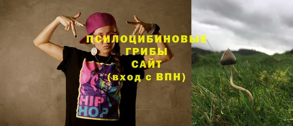 скорость Медвежьегорск