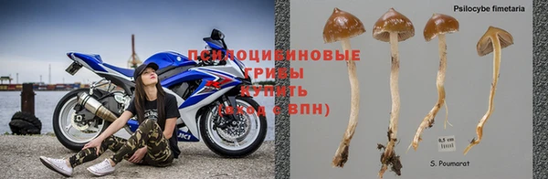 бошки Медногорск