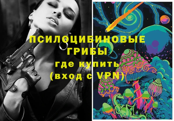 скорость Медвежьегорск