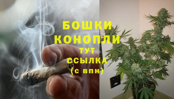 скорость Медвежьегорск
