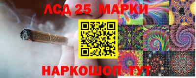 амф Кингисепп