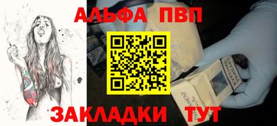 амф Кингисепп