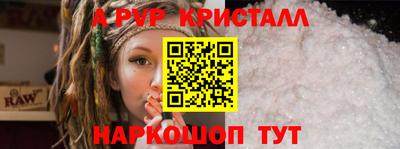 амф Кингисепп