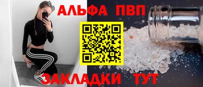 амф Кингисепп