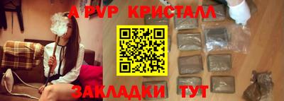 амф Кингисепп