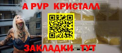 амф Кингисепп