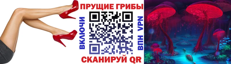 Галлюциногенные грибы мухоморы  сколько стоит  Курган 