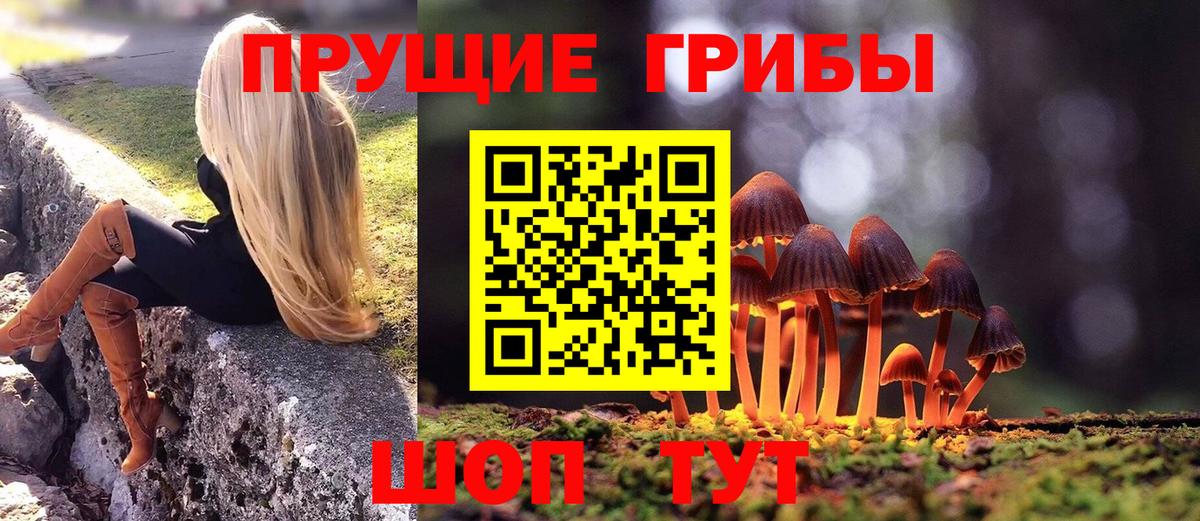 Метадон Курган