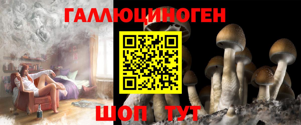 Галлюциногенные грибы ЛСД  Курган 