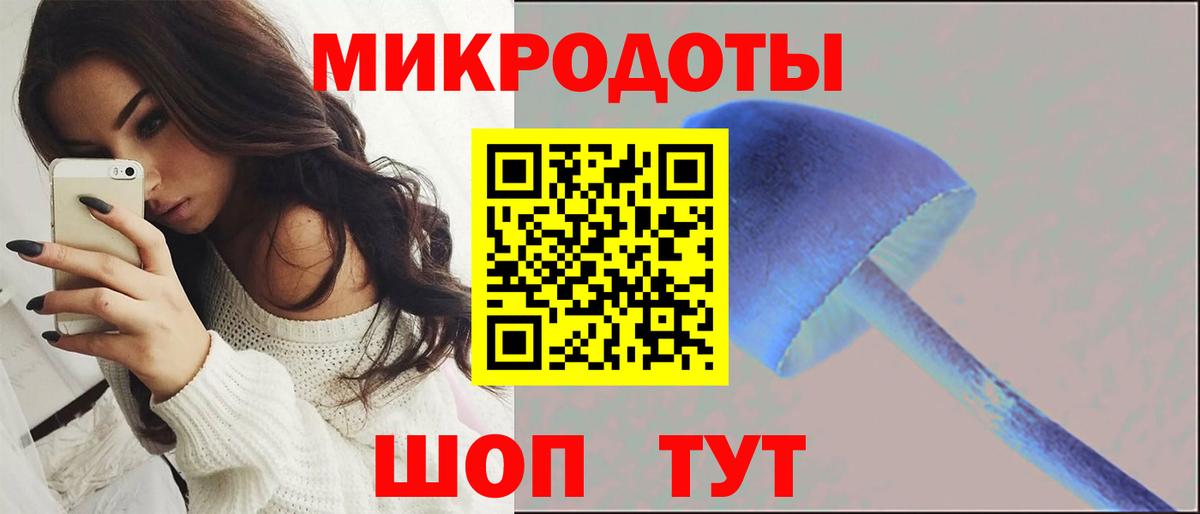 Курган  цены   Вход с VPN  Псилоцибиновые грибы GOLDEN TEACHER  Галлюциногенные грибы прущие грибы 